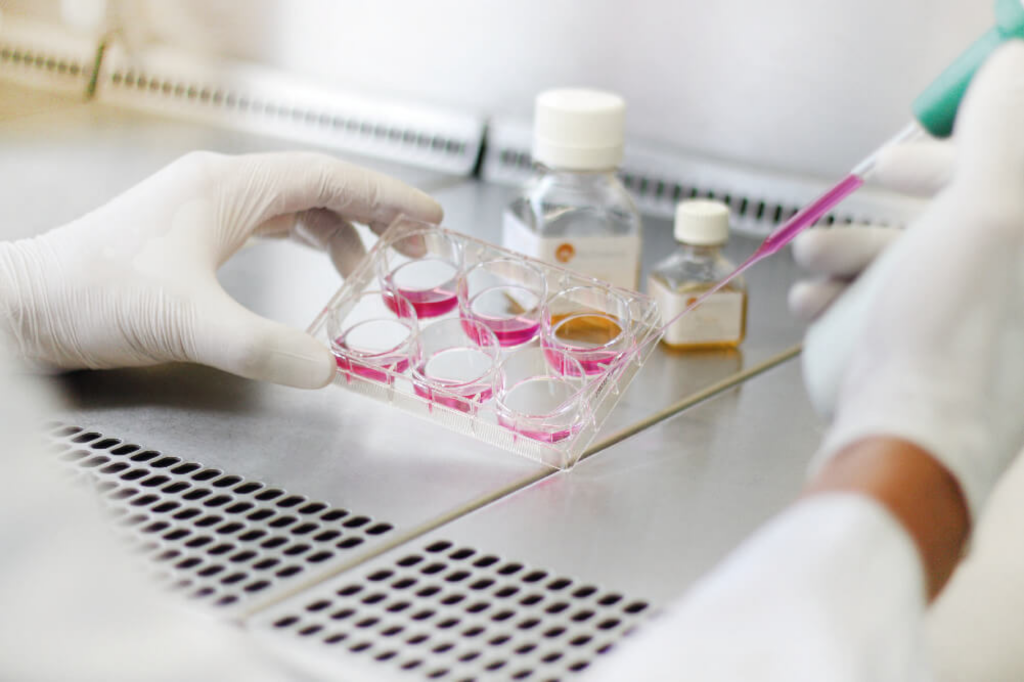 Cell culture in the lab